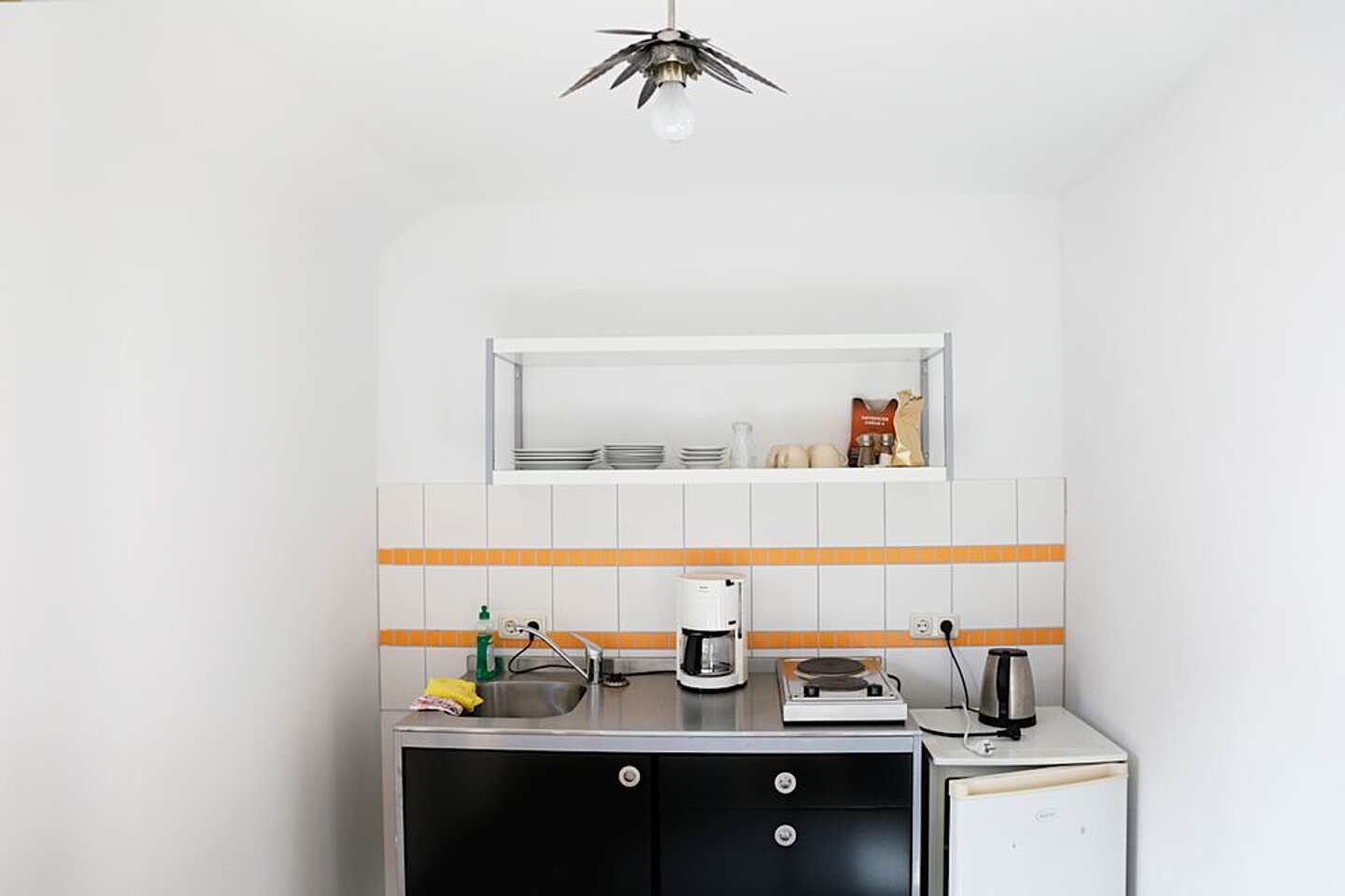 herb_luise_toscana_0076-992